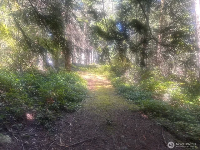 a view of outdoor space and trees