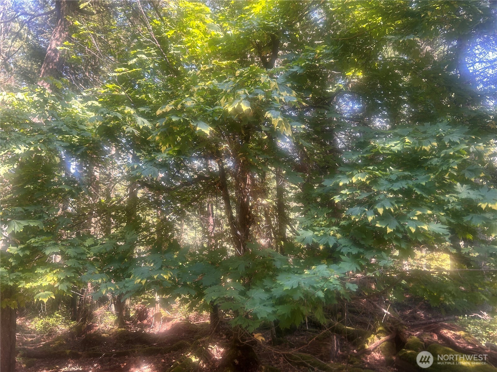 -xx Xx Rocky Road Eastsound, WA 98245 - Photo 4 of 6