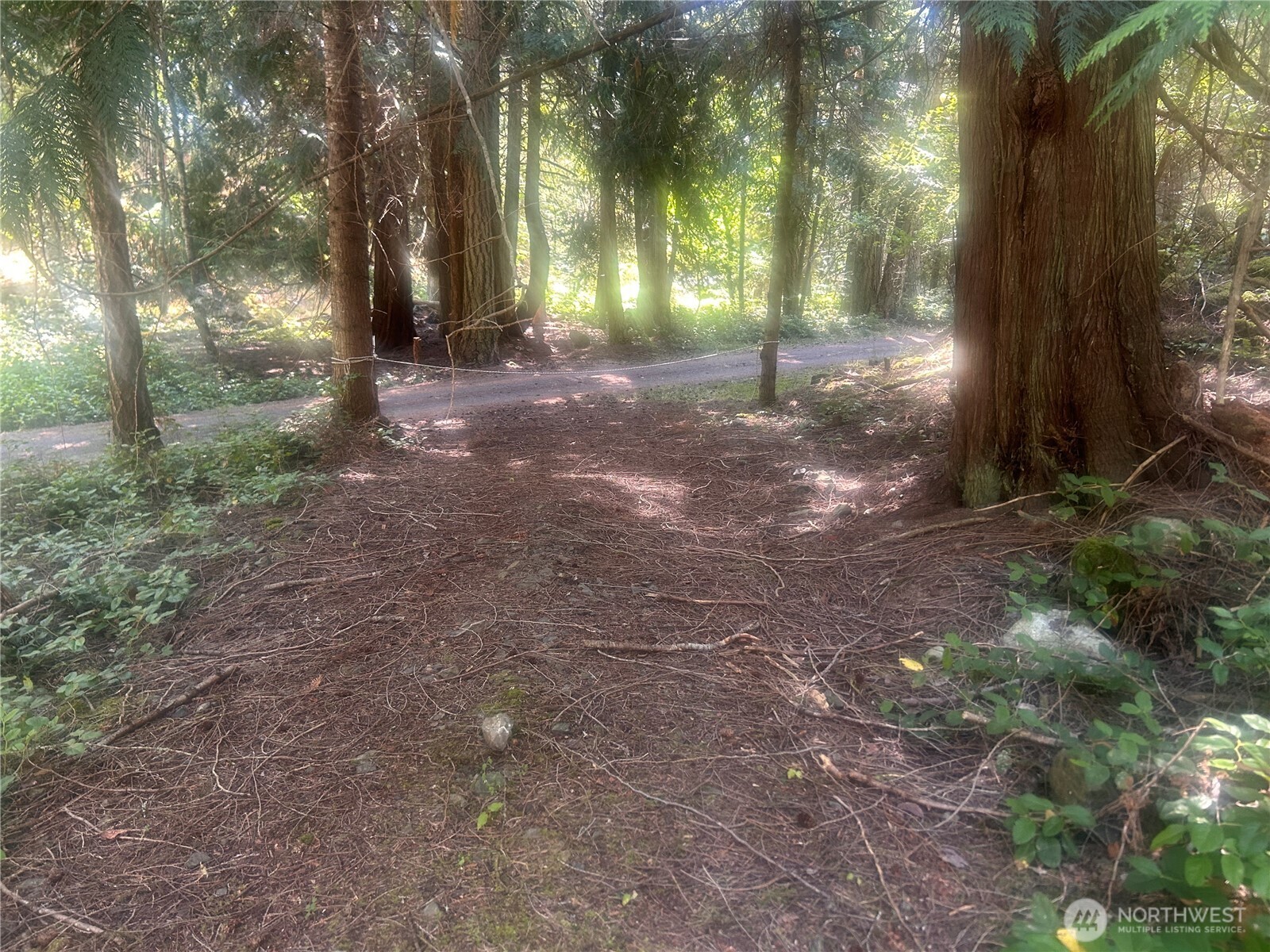 -xx Xx Rocky Road Eastsound, WA 98245 - Photo 5 of 6 a view of road and trees