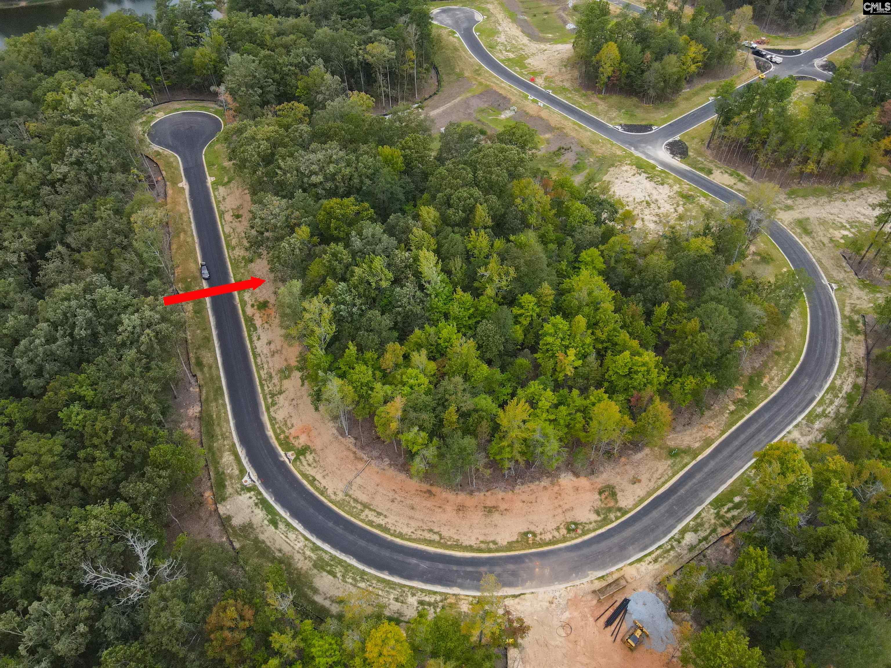 1068 Refuge Place Chapin, SC 29036 - Photo 9 of 17