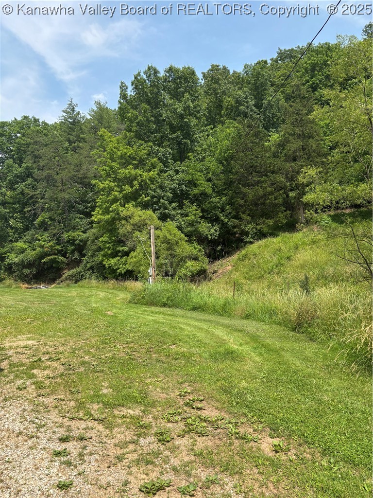 3951 Rockcastle Road Given, WV 25245 - Photo 10 of 16 Gallery Image 10