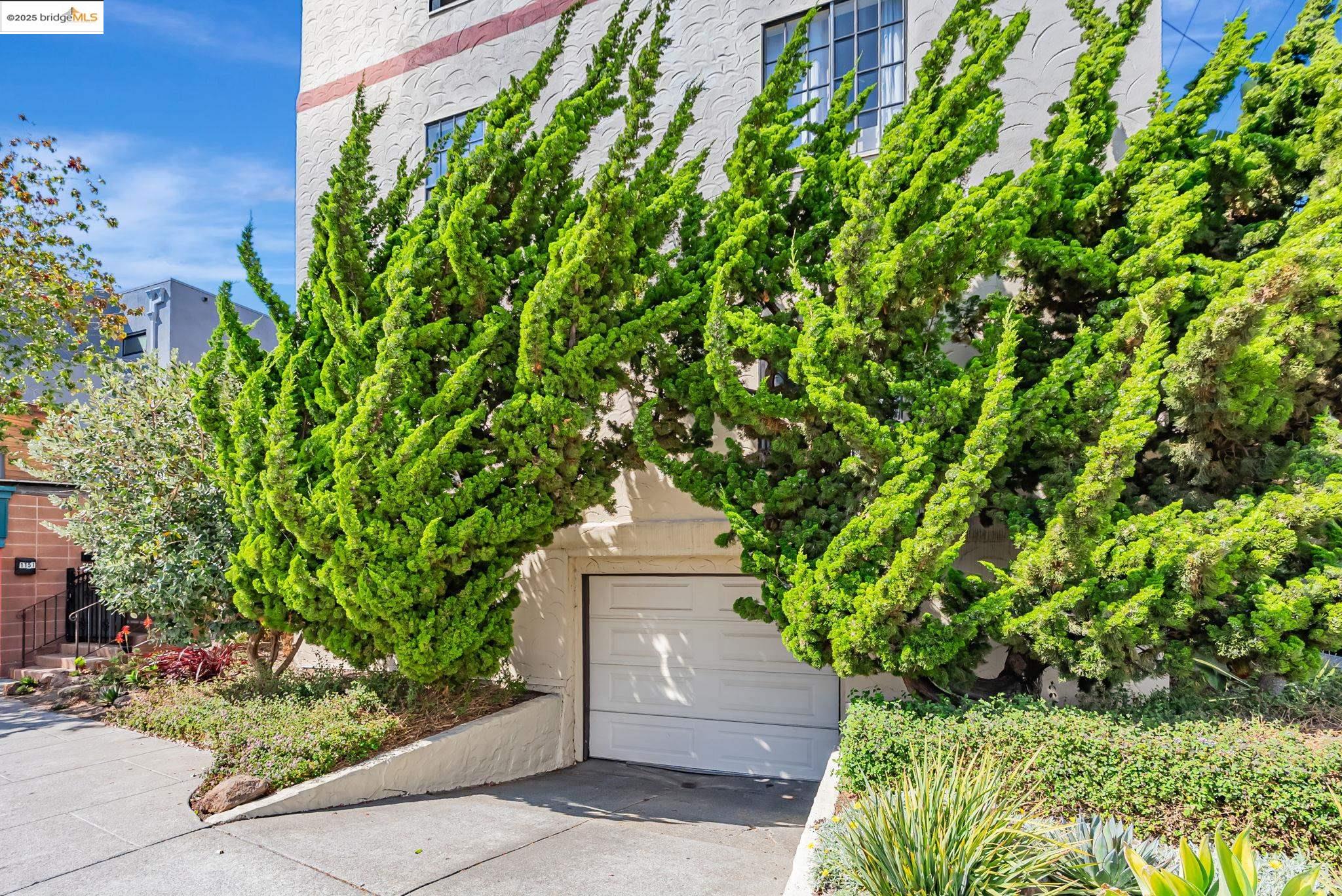 848 Stannage Avenue, Unit 11 Albany, CA 94706 - Photo 20 of 24 Garage featuring concrete driveway