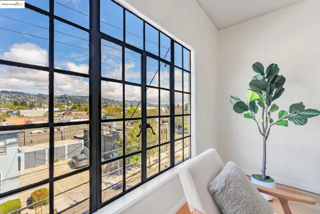 a living room with large windows and a potted plant