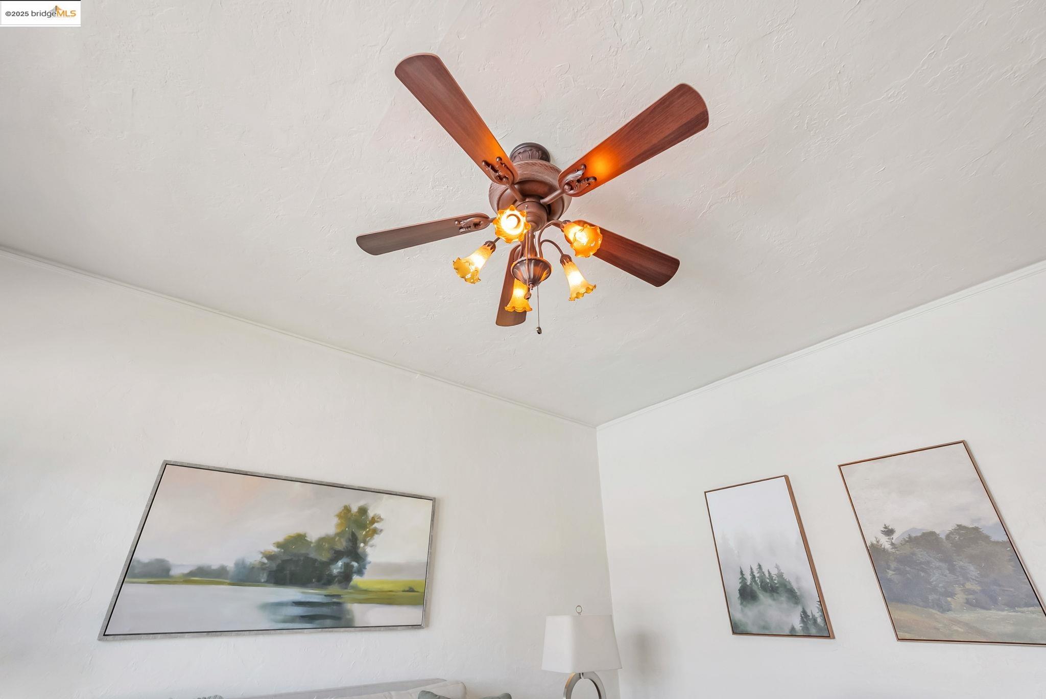 848 Stannage Avenue, Unit 11 Albany, CA 94706 - Photo 7 of 24 Vintage light fixture
