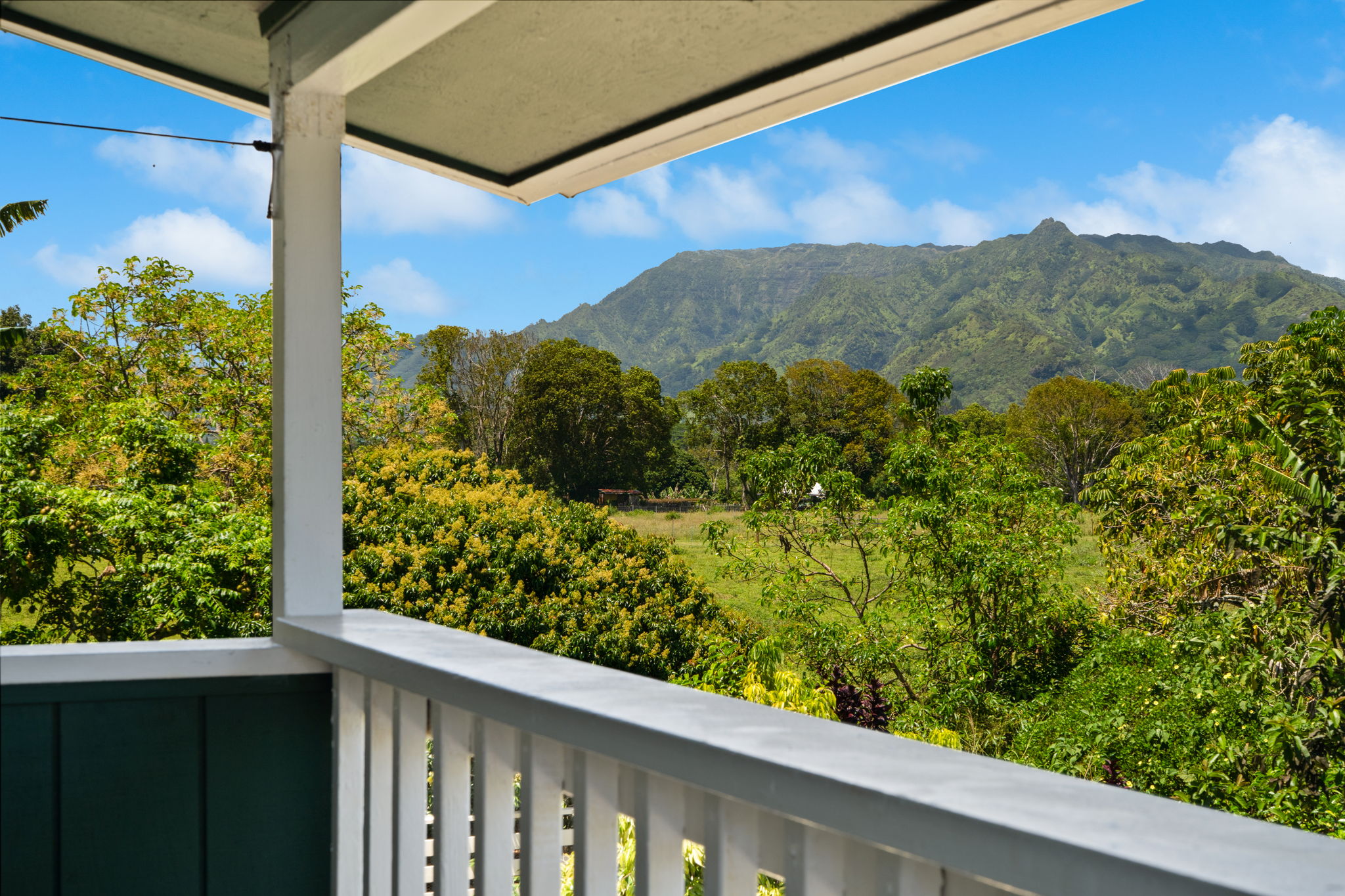 6100 Kawaihau Road Kapaa, HI 96746 - Photo 17 of 22 a view of a yard from a balcony
