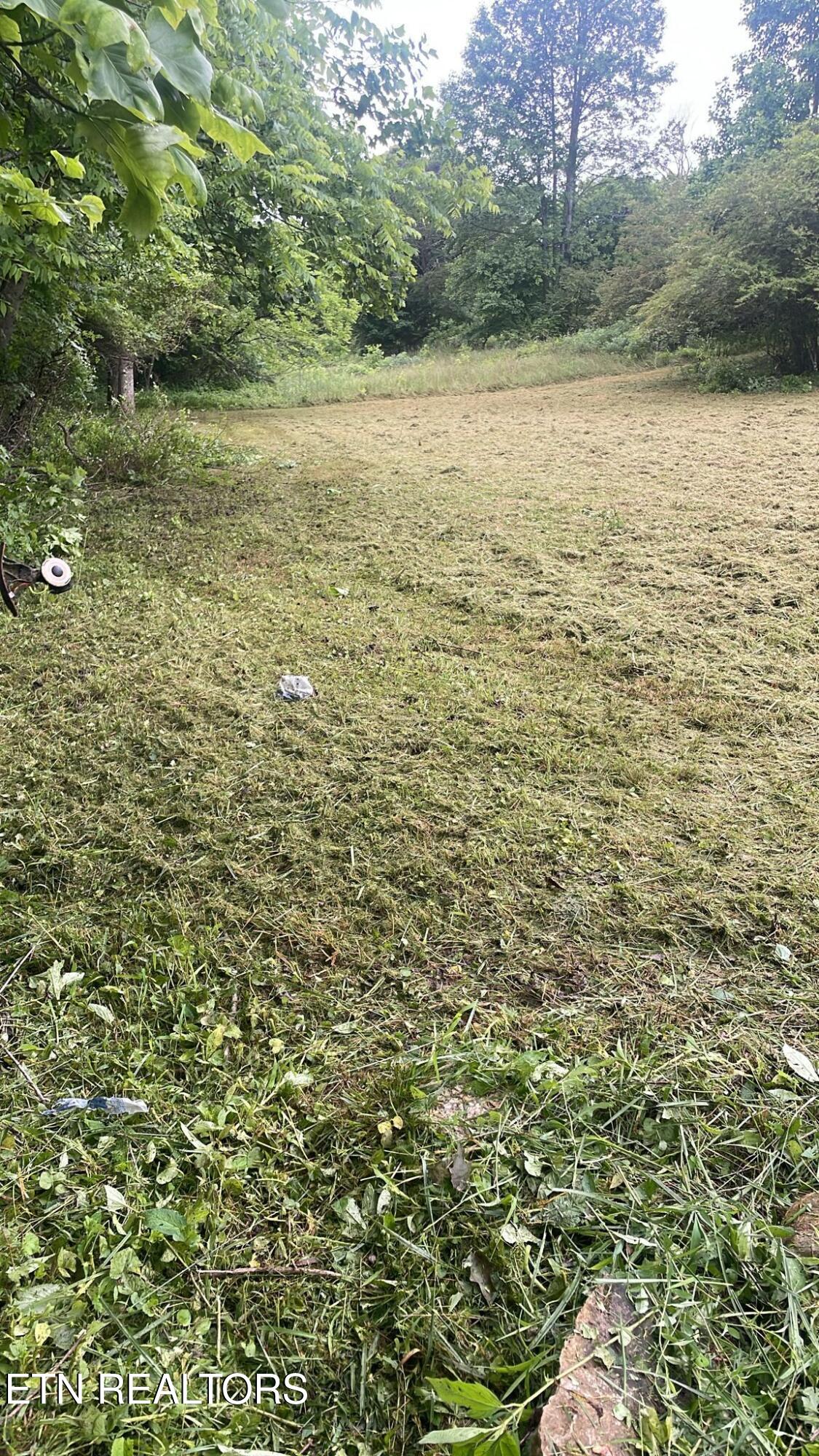 Perilla Road Cosby, TN 37722 - Photo 1 of 1 PHOTO-2024-05-25-12-42-46