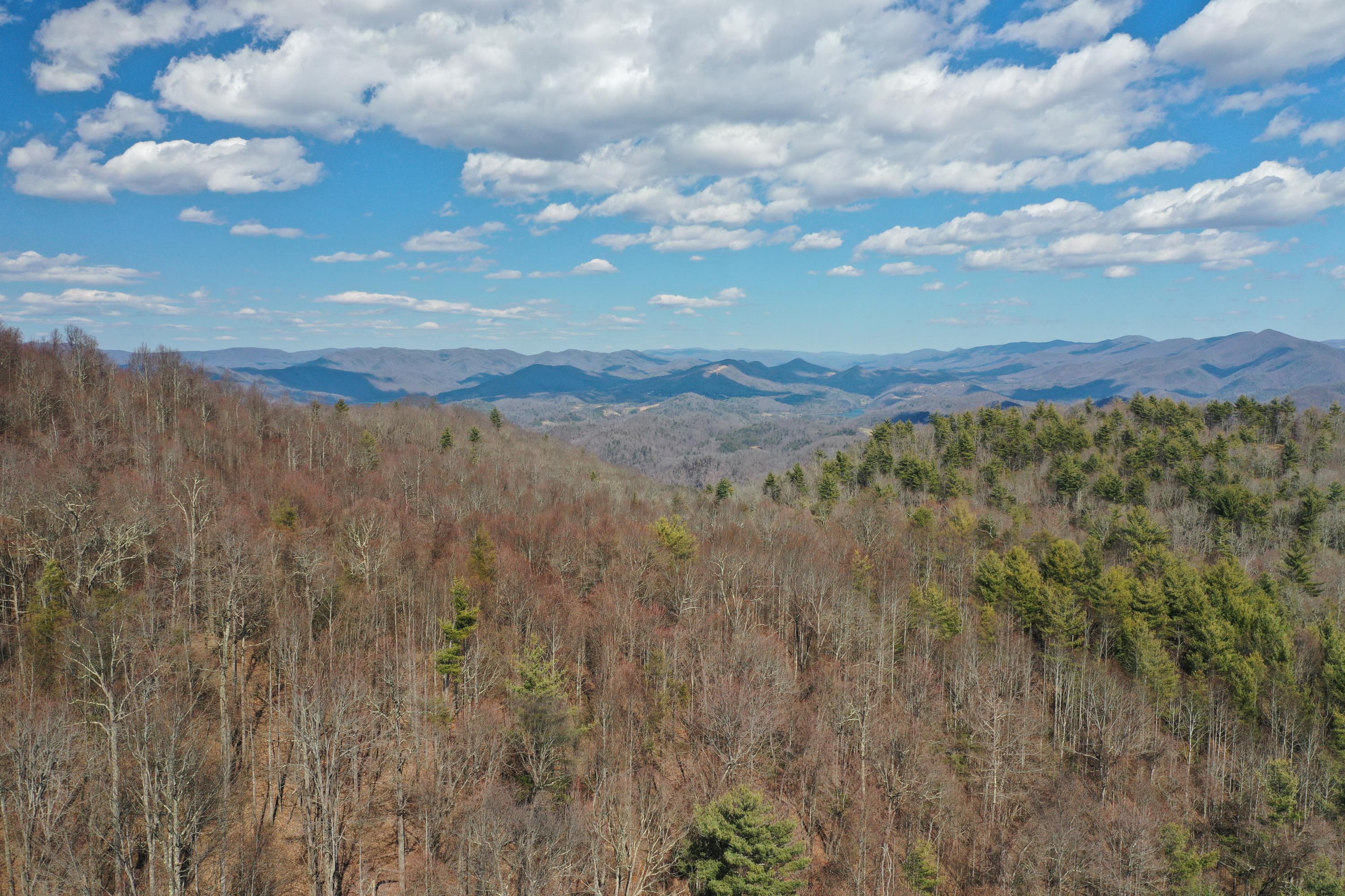North Heaton Branch Road Butler, TN 37640 - Photo 2 of 40 File 235