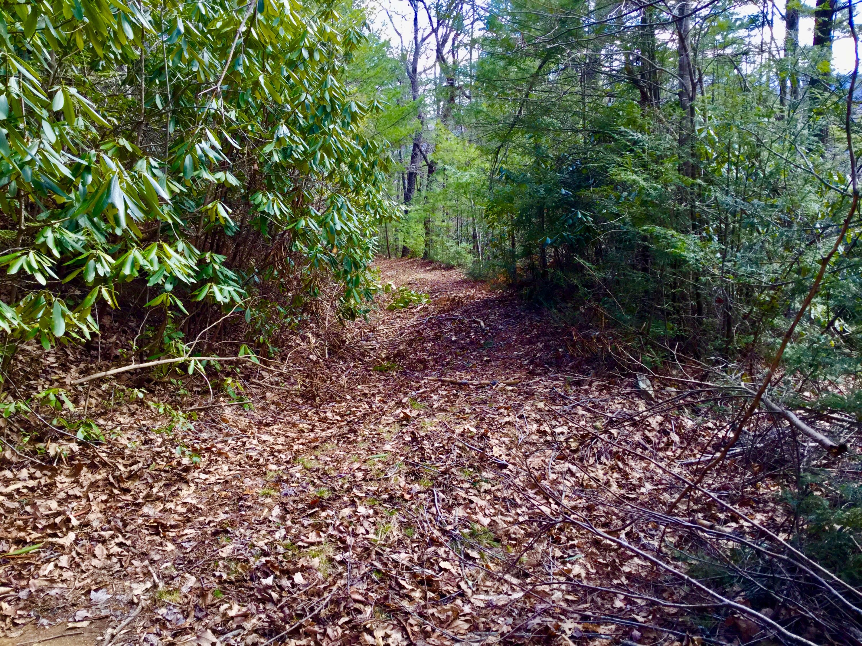 North Heaton Branch Road Butler, TN 37640 - Photo 11 of 40 File_004(1)