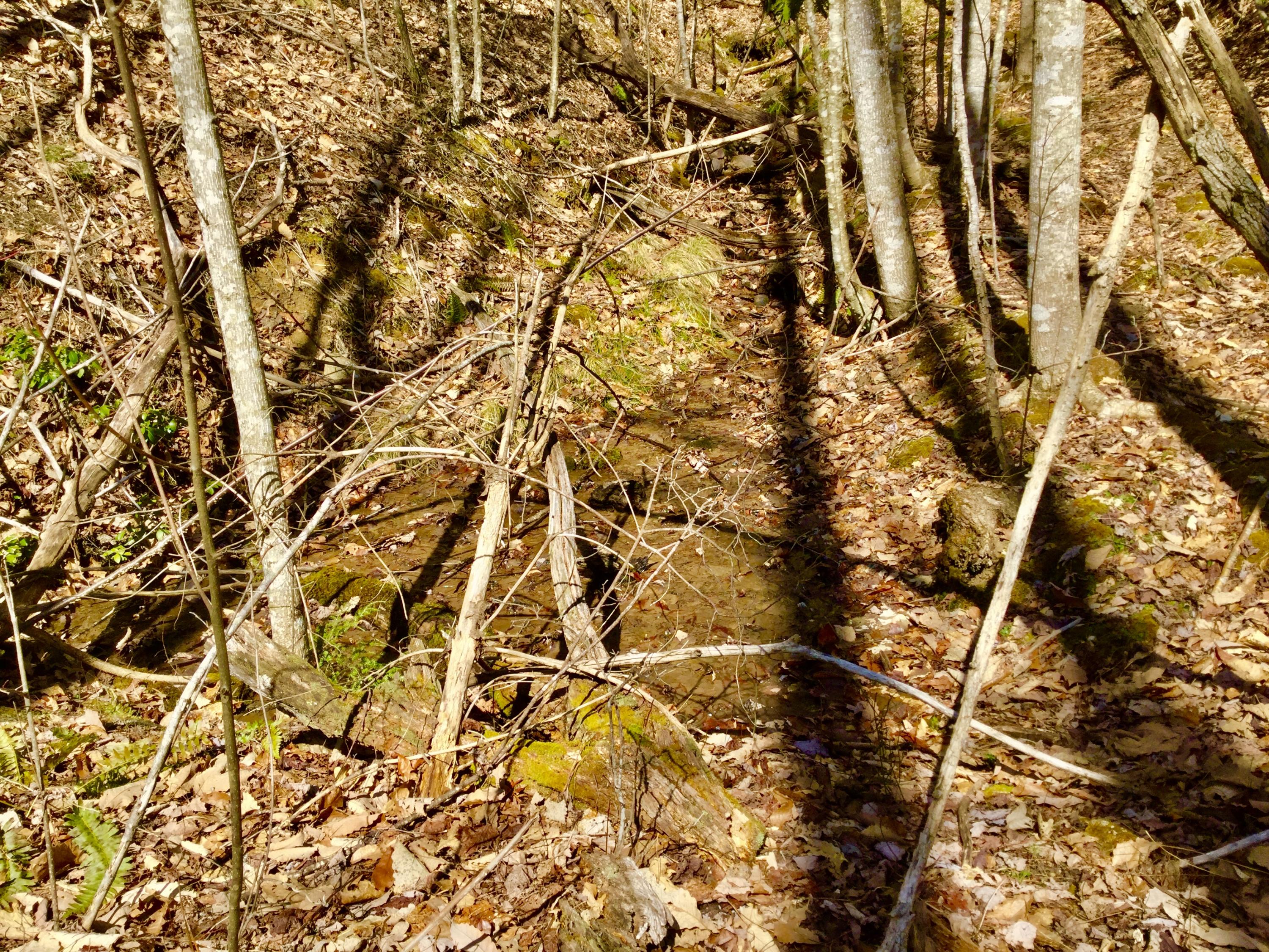 North Heaton Branch Road Butler, TN 37640 - Photo 20 of 40 File_008(2)
