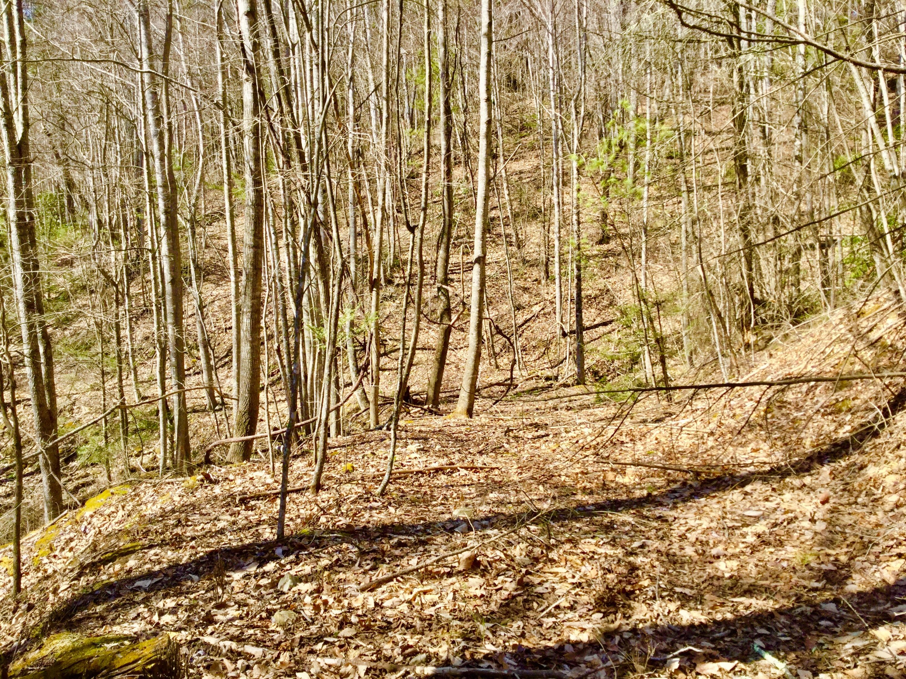 North Heaton Branch Road Butler, TN 37640 - Photo 23 of 40 File_009(2)