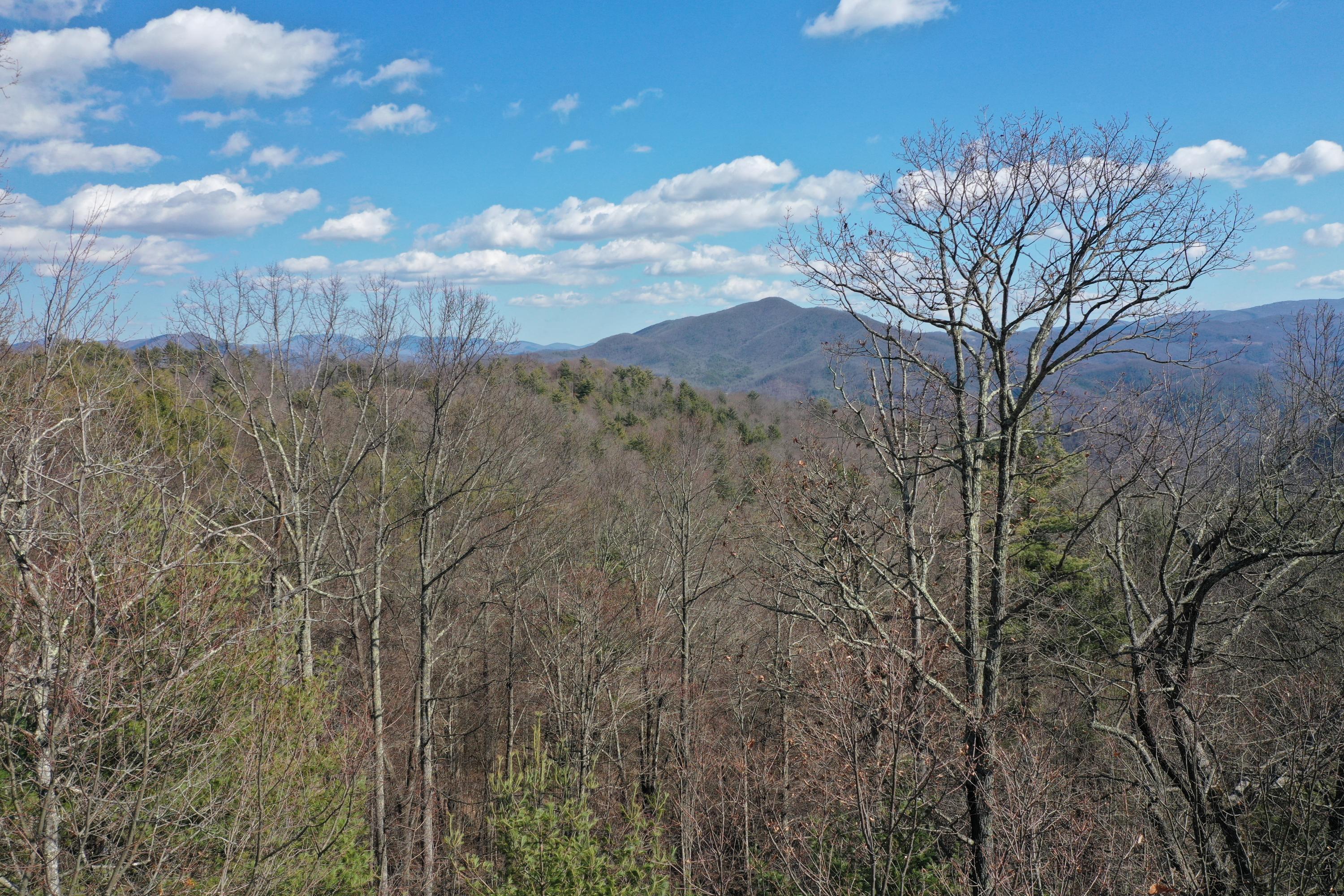 North Heaton Branch Road Butler, TN 37640 - Photo 35 of 40 File 334