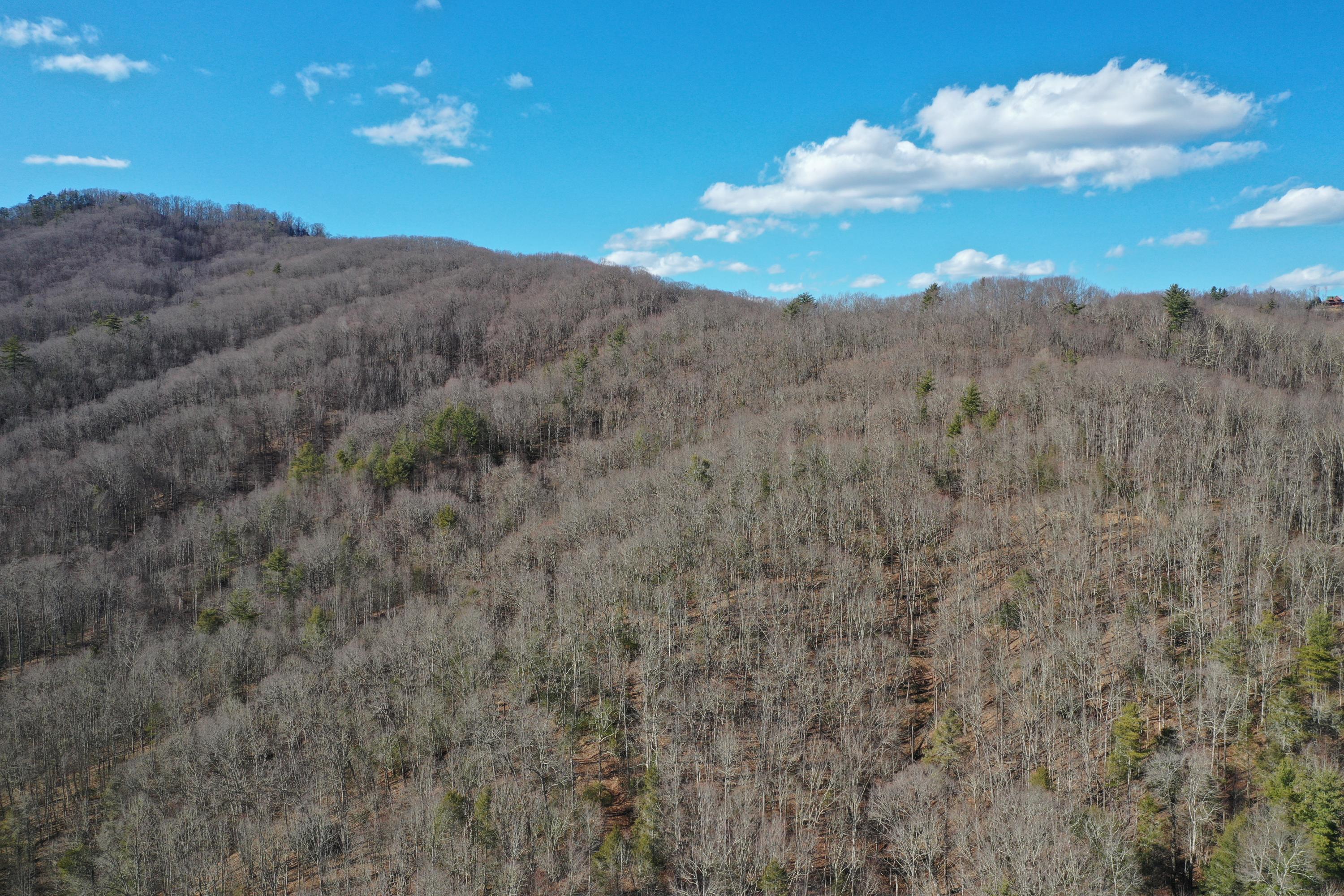 North Heaton Branch Road Butler, TN 37640 - Photo 36 of 40 File 342