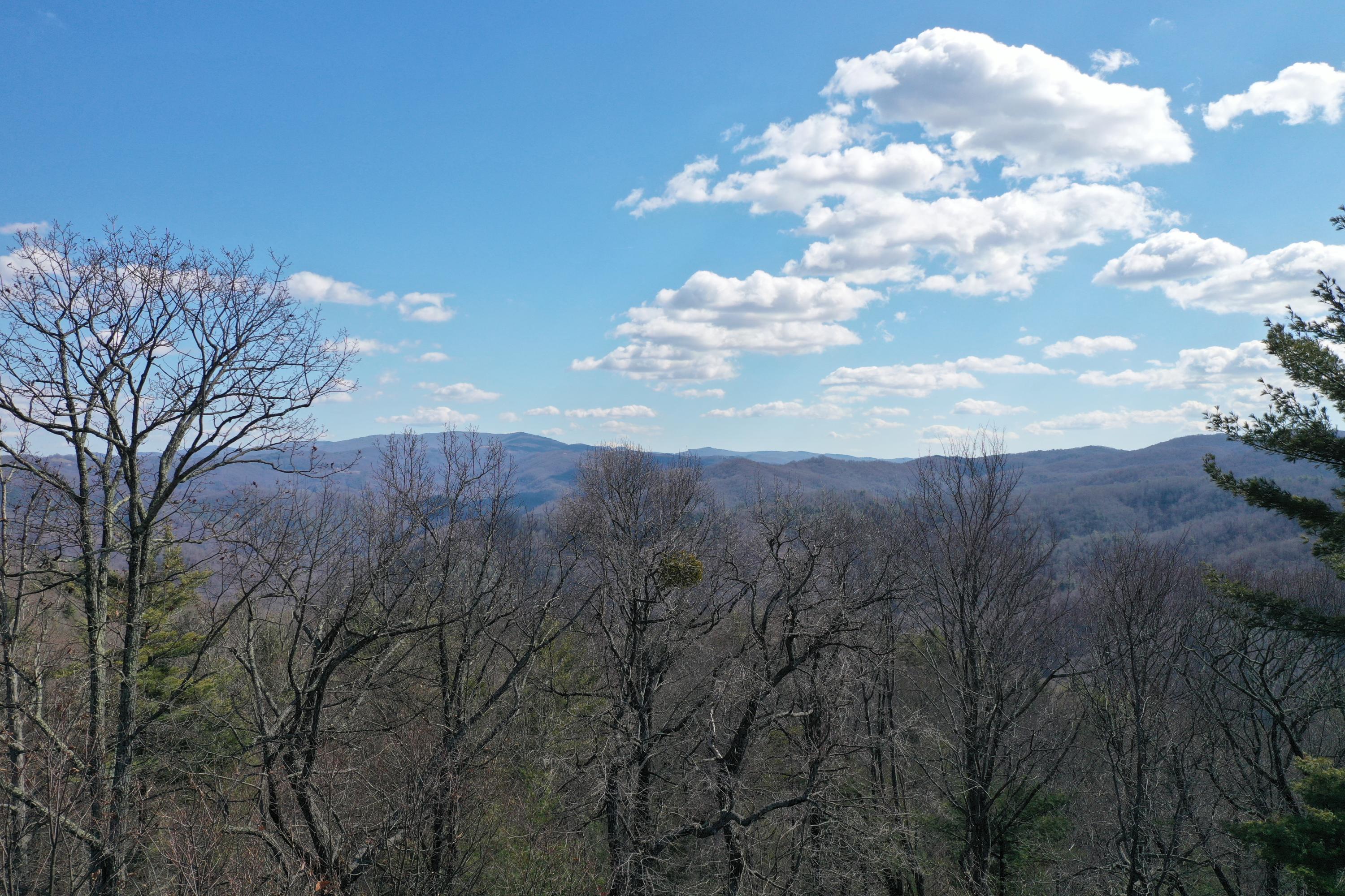 North Heaton Branch Road Butler, TN 37640 - Photo 39 of 40 File 450