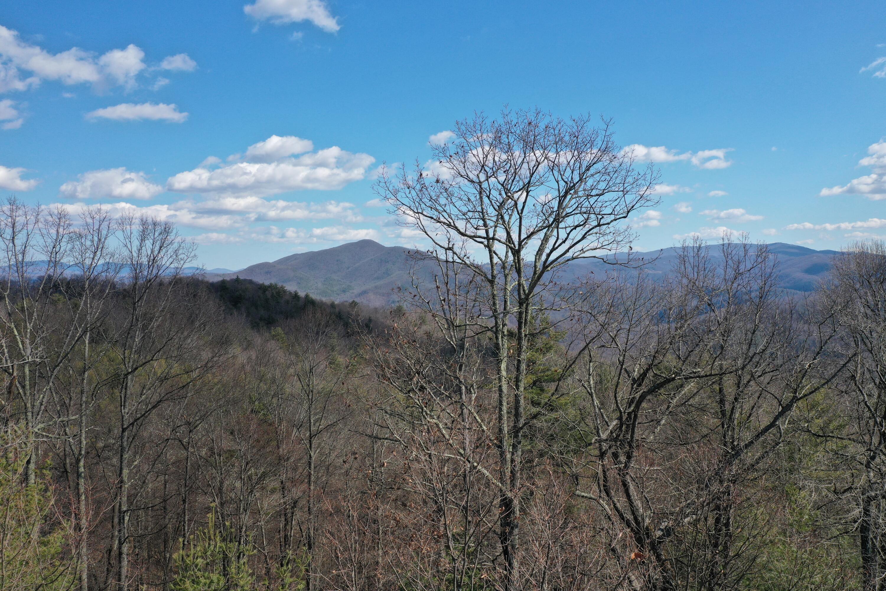 North Heaton Branch Road Butler, TN 37640 - Photo 40 of 40 File 451