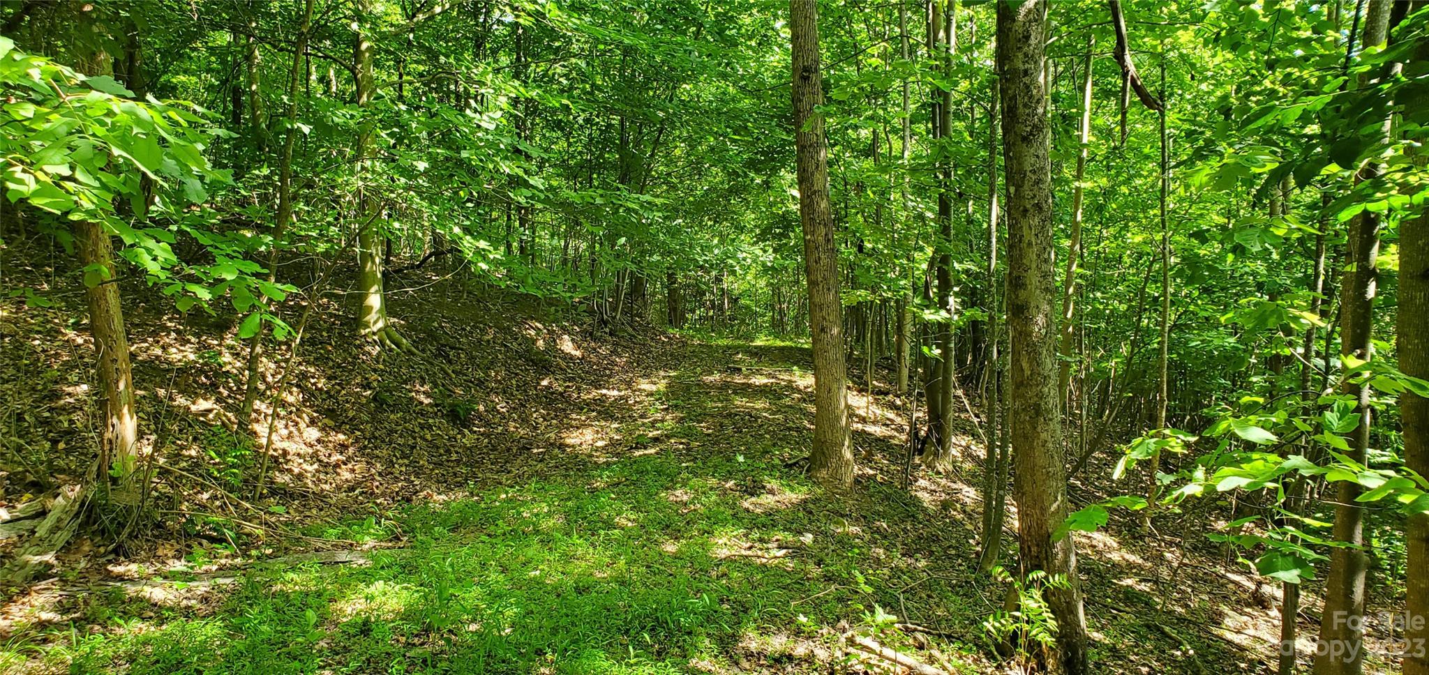 2440 Alfred Hartley Road Lenoir, NC 28645 - Photo 1 of 17 a view of a tree