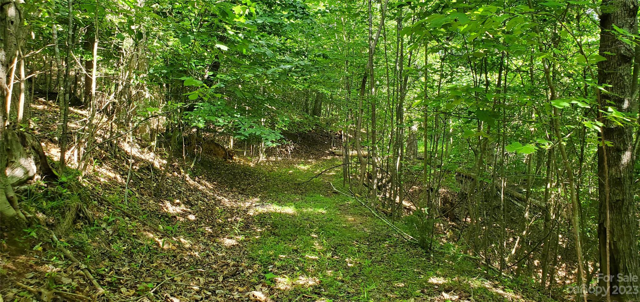 2440 Alfred Hartley Road Lenoir, NC 28645 - Photo 7 of 17 a view of a tree