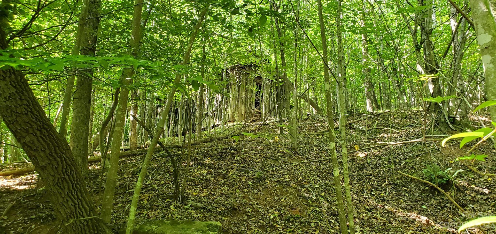 2440 Alfred Hartley Road Lenoir, NC 28645 - Photo 9 of 17 a view of a yard