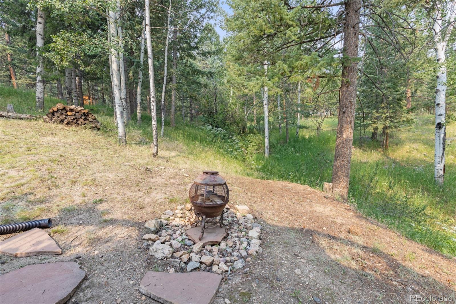 31547 Niakwa Road Evergreen, CO 80439 - Photo 39 of 50