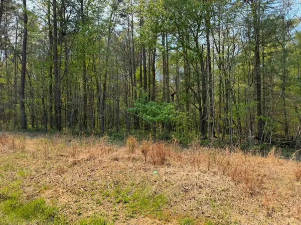 $125,000 | 0 Ironsburg Road, Tellico Plains, TN 37385