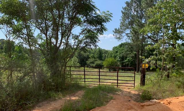 0 Bethlehem Road Box Springs, GA 31801 - Photo 1 of 26 Main View