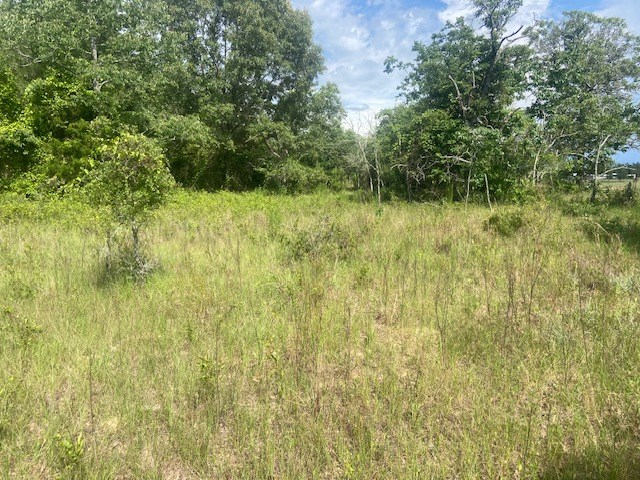 0 Bethlehem Road Box Springs, GA 31801 - Photo 12 of 26