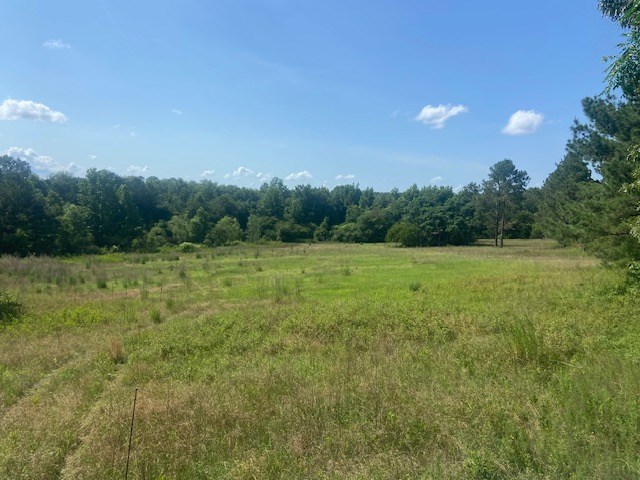 0 Bethlehem Road Box Springs, GA 31801 - Photo 13 of 26