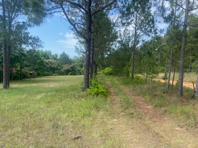 0 Bethlehem Road Box Springs, GA 31801 - Photo 2 of 26