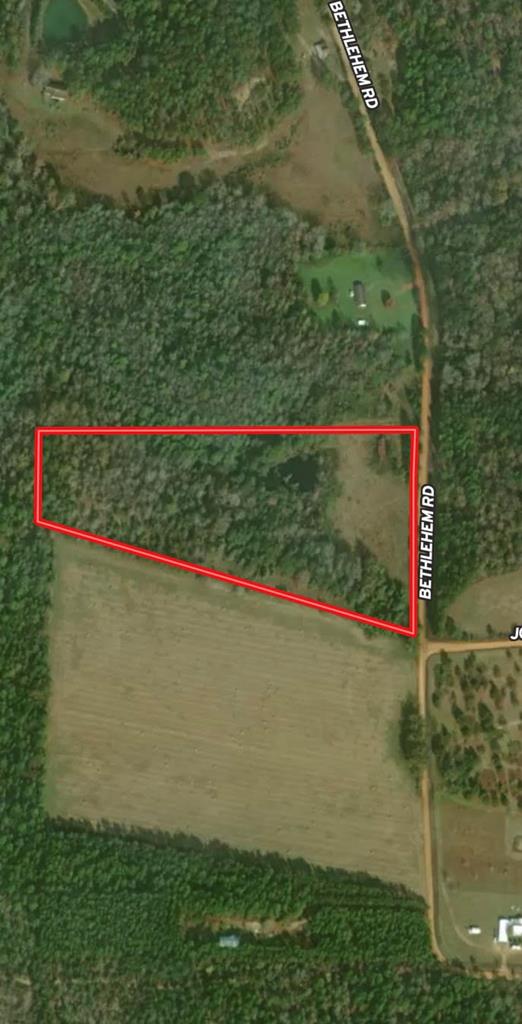 0 Bethlehem Road Box Springs, GA 31801 - Photo 26 of 26