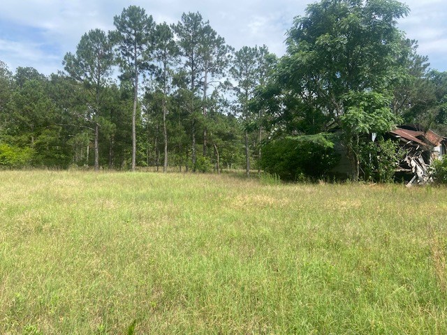 0 Bethlehem Road Box Springs, GA 31801 - Photo 3 of 26
