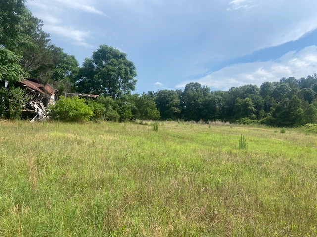 0 Bethlehem Road Box Springs, GA 31801 - Photo 4 of 26