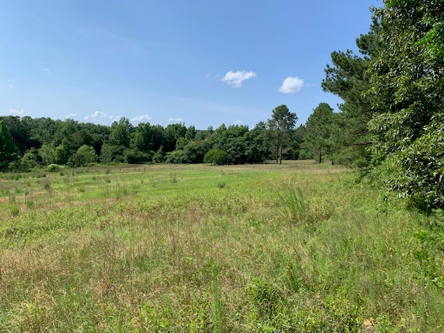 0 Bethlehem Road Box Springs, GA 31801 - Photo 6 of 26