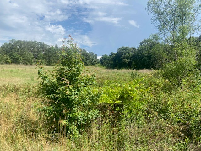 0 Bethlehem Road Box Springs, GA 31801 - Photo 7 of 26