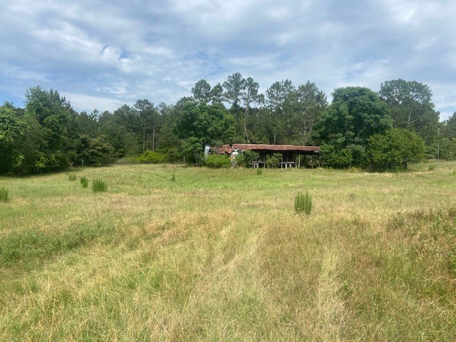 0 Bethlehem Road Box Springs, GA 31801 - Photo 8 of 26