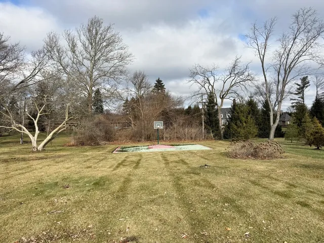 a view of a yard with trees