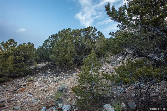 $433,000 | 1 Cozart Lane, Salida, CO 81201