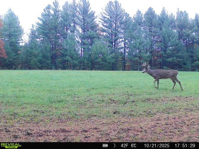178375 Mission Lake Road Eland, WI 54427 - Photo 18 of 21