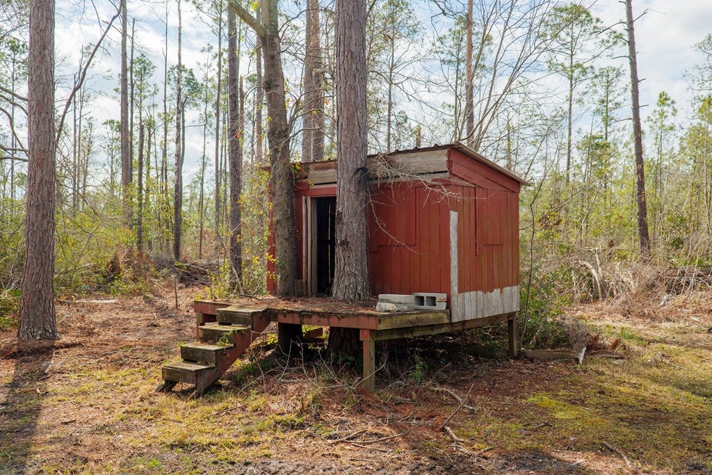 4568 Boring Pond Road Valdosta, GA 31606 - Photo 30 of 42 Gallery Image 30