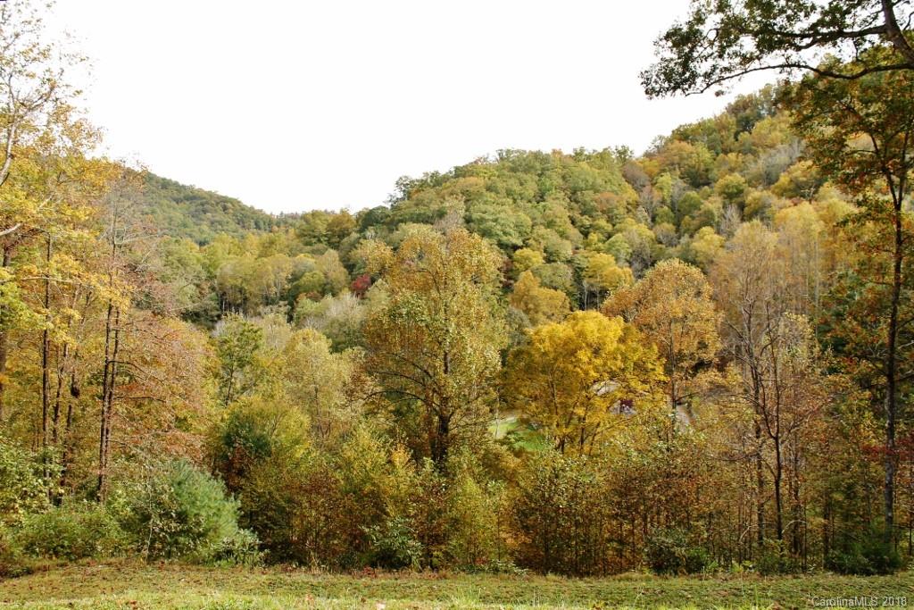 0 Camp Branch Road Whittier, NC 28789 - Photo 11 of 15 Gallery Image 11