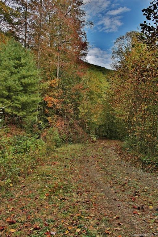 0 Camp Branch Road Whittier, NC 28789 - Photo 15 of 15 Gallery Image 15