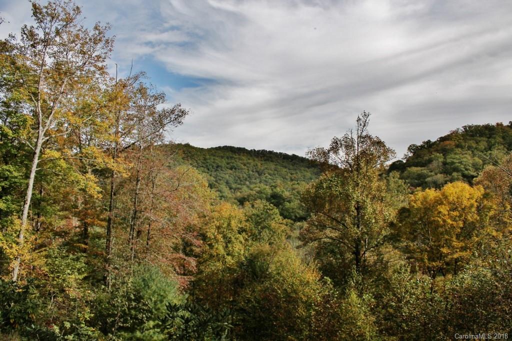 0 Camp Branch Road Whittier, NC 28789 - Photo 5 of 15 Gallery Image 5