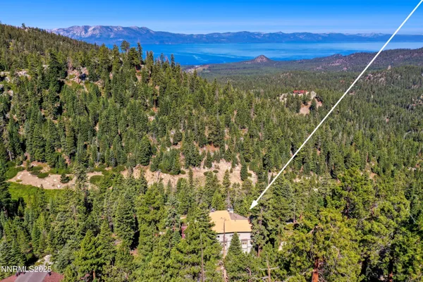 a view of a city with lush green forest