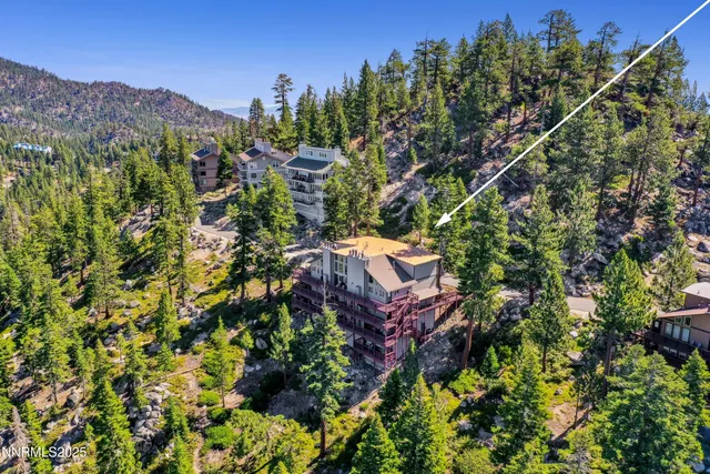 a view of a house with a lush green forest