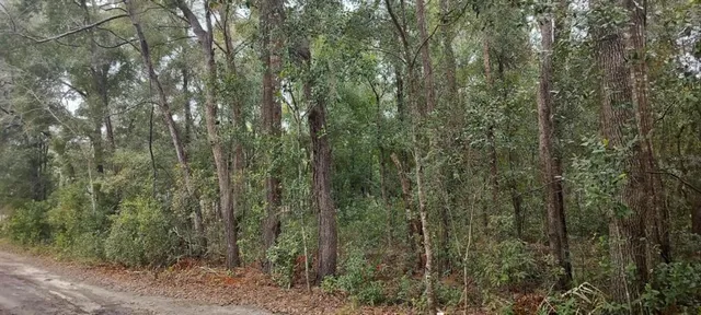 $25,000 | 1221 East Rhapsody Lane, Hernando, FL 34442