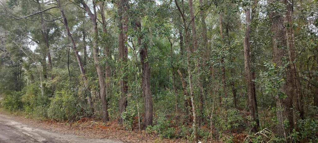 1221 East Rhapsody Lane Hernando, FL 34442 - Photo 1 of 14