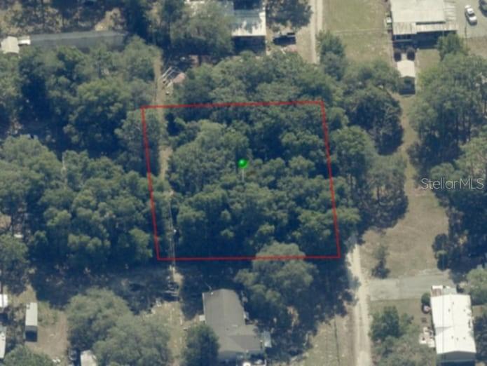 1221 East Rhapsody Lane Hernando, FL 34442 - Photo 12 of 14