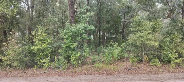 $25,000 | 1221 East Rhapsody Lane, Hernando, FL 34442