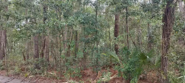 $25,000 | 1221 East Rhapsody Lane, Hernando, FL 34442