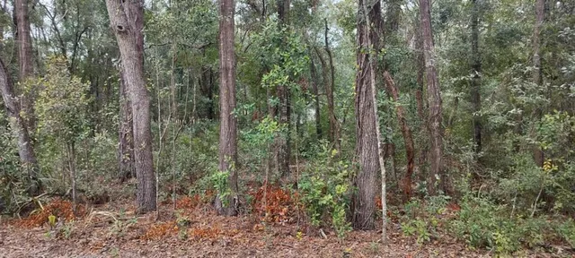 $25,000 | 1221 East Rhapsody Lane, Hernando, FL 34442