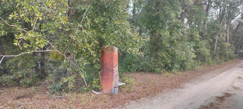 1221 East Rhapsody Lane Hernando, FL 34442 - Photo 8 of 14