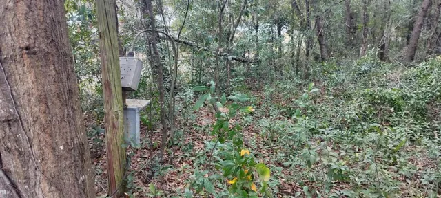 $25,000 | 1221 East Rhapsody Lane, Hernando, FL 34442